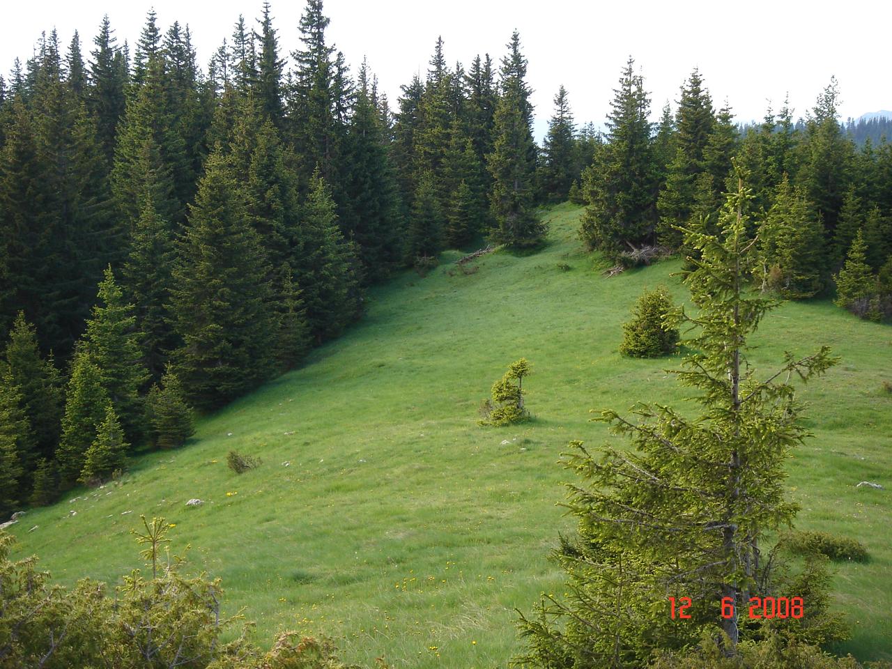Land 450,000m2 for sale, Zabljak