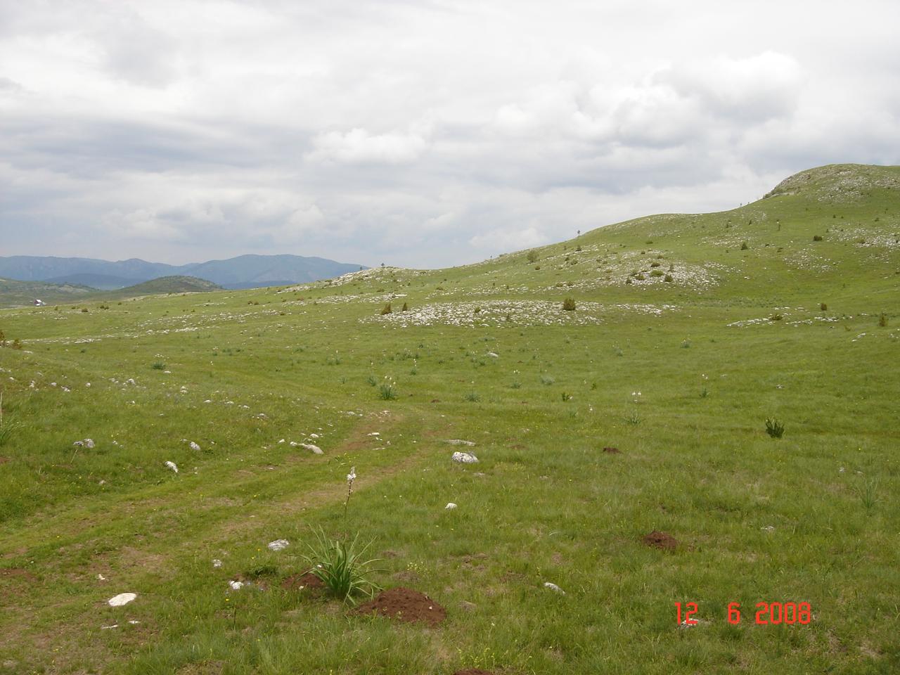 Land 450,000m2 for sale, Zabljak