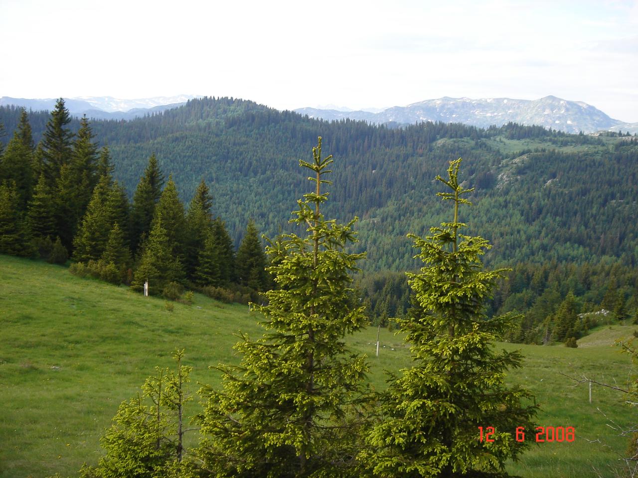 Land 450,000m2 for sale, Zabljak