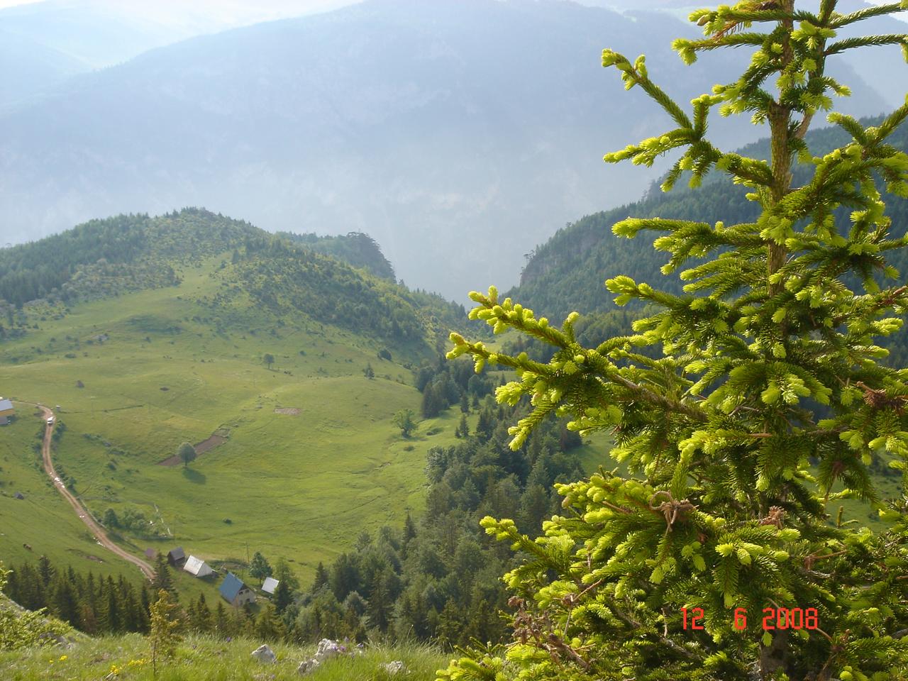 Land 450,000m2 for sale, Zabljak